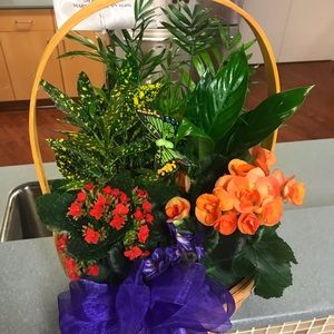 Meet your Posher, Virginia